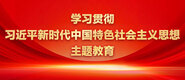 操屄色操屄视频一级色操屄视频学习贯彻习近平新时代中国特色社会主义思想主题教育_fororder_ad-371X160(2)